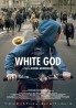 Beyaz Tanrı